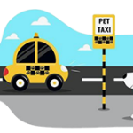 Pet-Friendly Rides — Travel with Your Pet